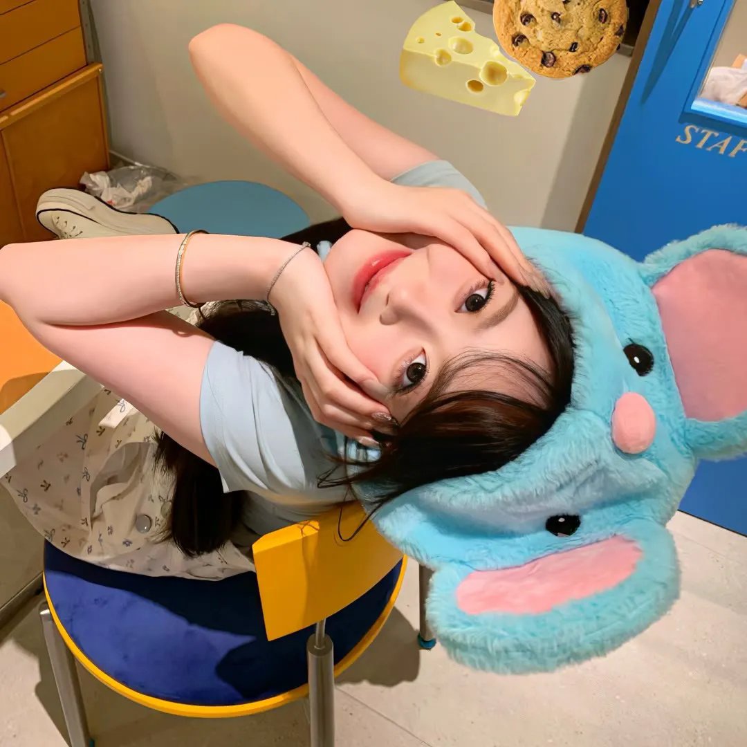 猫咪情缘